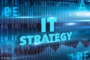 蓝盟观点 深度评估IT外包网络维护与信息系统运维服务的核心价值
